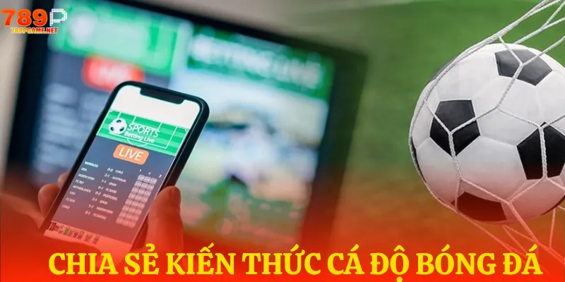 chia se kien thuc ca do bong da