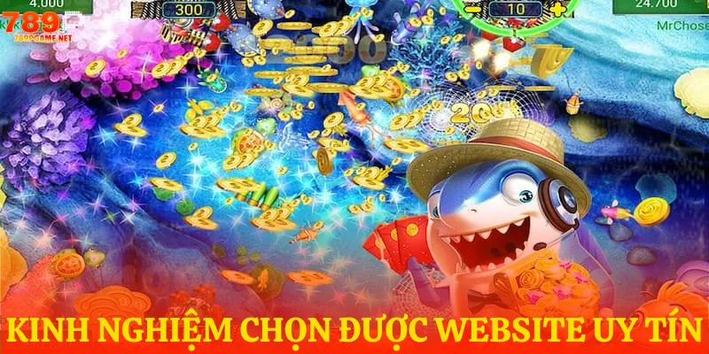 Kinh nghiệm chọn trang web bắn cá chuẩn chỉnh