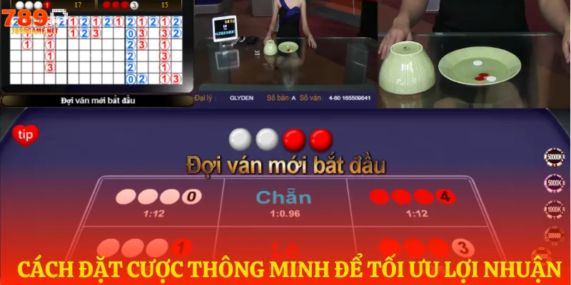 Lời khuyên đánh xóc đĩa online luôn thắng 