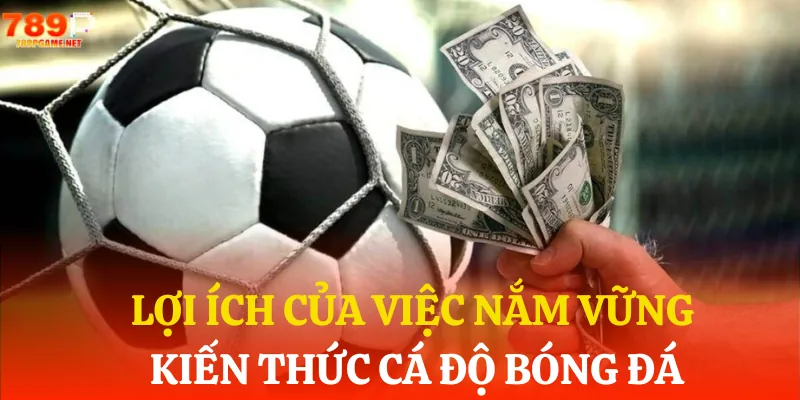 Những chia sẻ kiến thức cá độ bóng đá là điều hết sức quan trọng