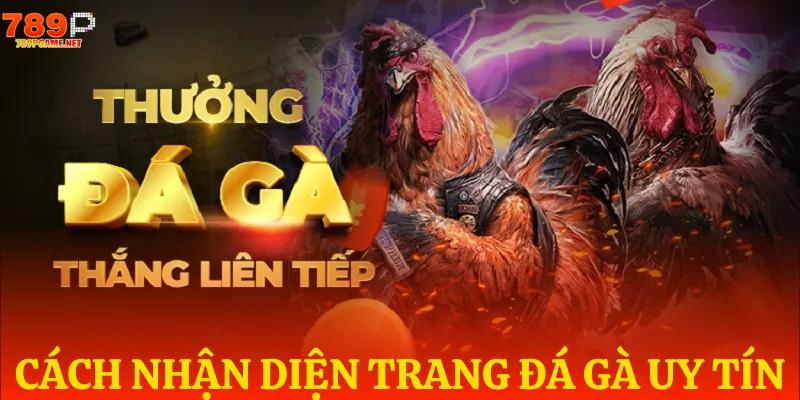 Tiêu chí chọn top trang đá gà uy tín