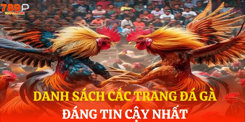 Tổng hợp top trang đá gà uy tín nhất năm 2025